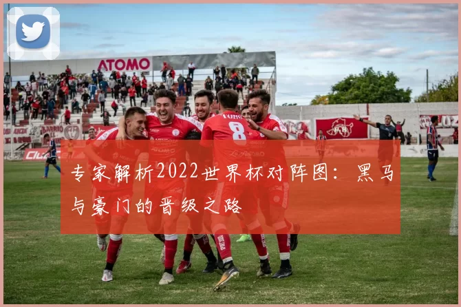 专家解析2022世界杯对阵图:黑马与豪门的晋级之路