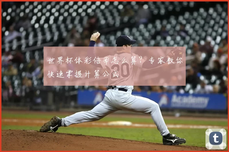 世界杯体彩倍率怎么算?专家教你快速掌握计算公式