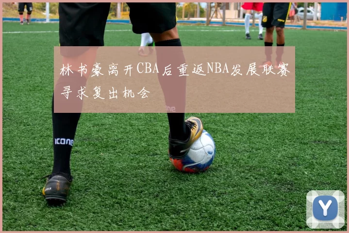 林书豪离开CBA后重返NBA发展联赛寻求复出机会