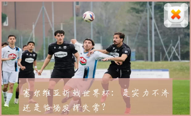 塞尔维亚折戟世界杯:是实力不济还是临场发挥失常?