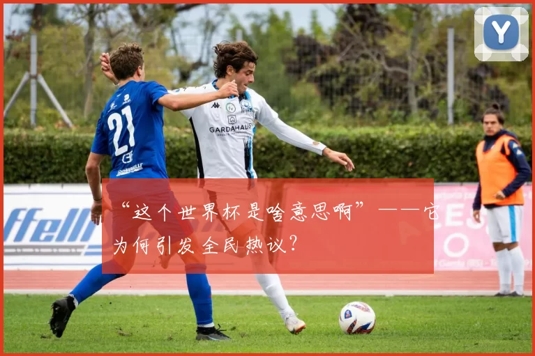 “这个世界杯是啥意思啊”——它为何引发全民热议？