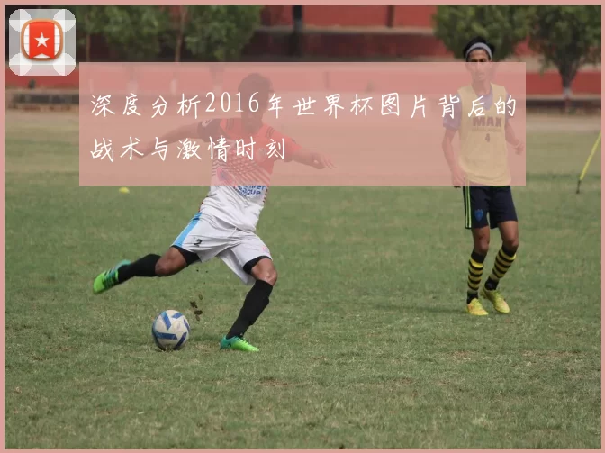 深度分析2016年世界杯图片背后的战术与激情时刻