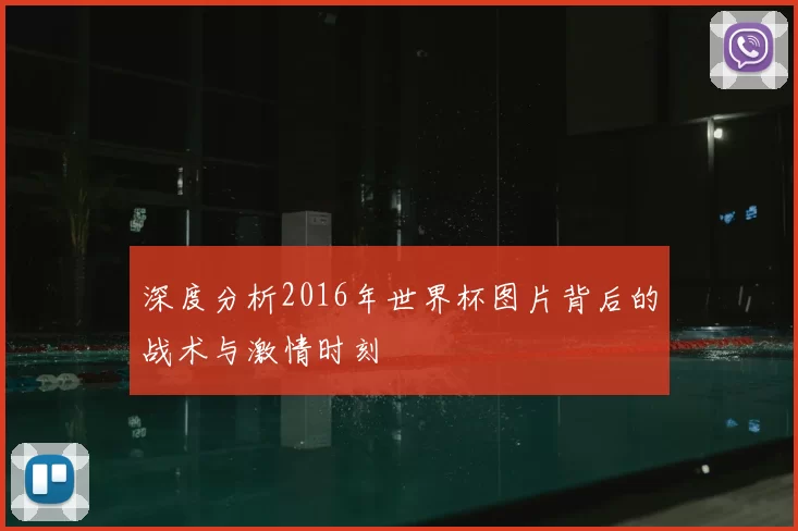 深度分析2016年世界杯图片背后的战术与激情时刻