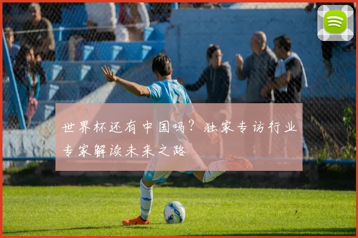 世界杯还有中国吗？独家专访行业专家解读未来之路