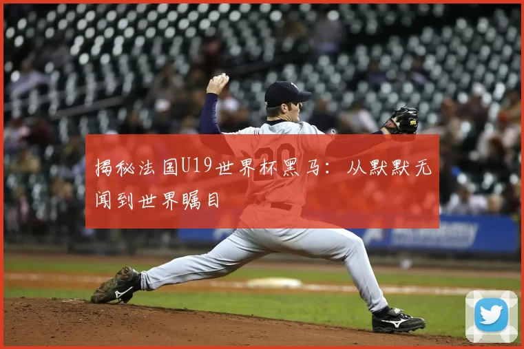 揭秘法国U19世界杯黑马:从默默无闻到世界瞩目