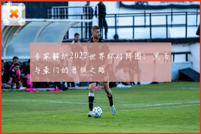 专家解析2022世界杯对阵图:黑马与豪门的晋级之路