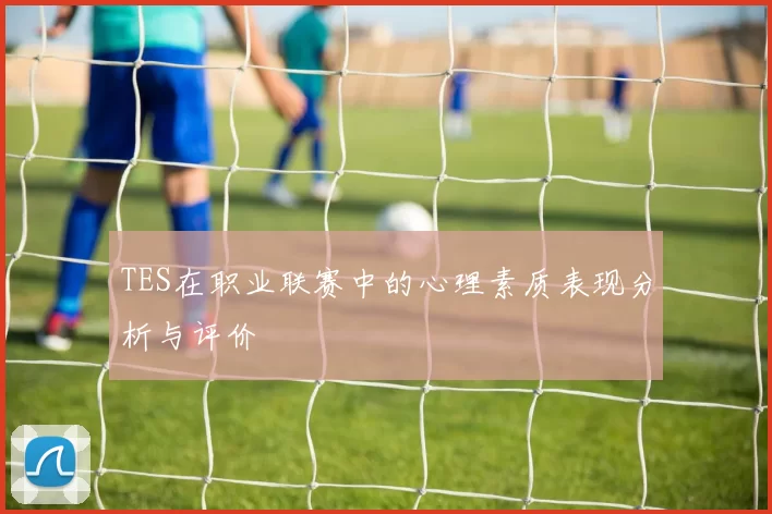 TES在职业联赛中的心理素质表现分析与评价