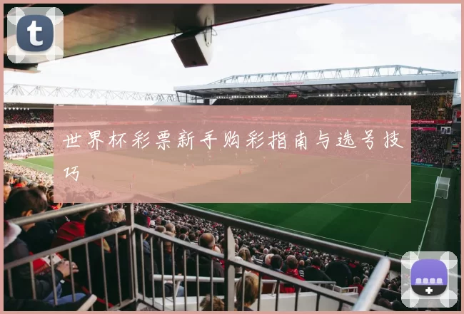 世界杯彩票新手购彩指南与选号技巧