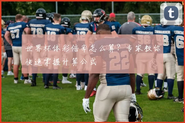 世界杯体彩倍率怎么算?专家教你快速掌握计算公式