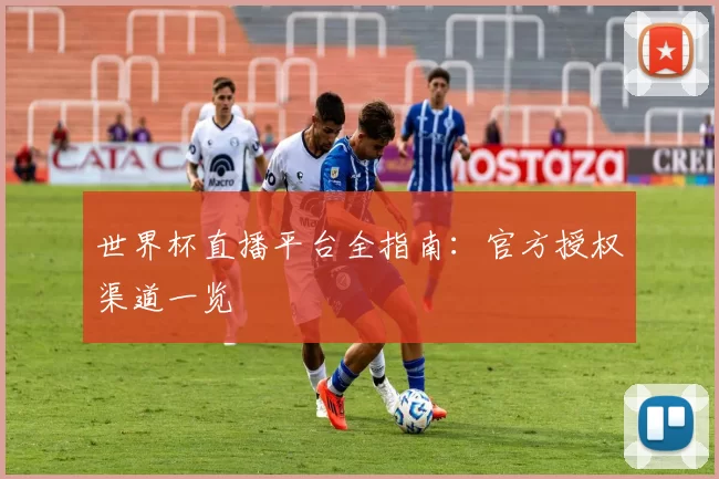 世界杯直播平台全指南：官方授权渠道一览