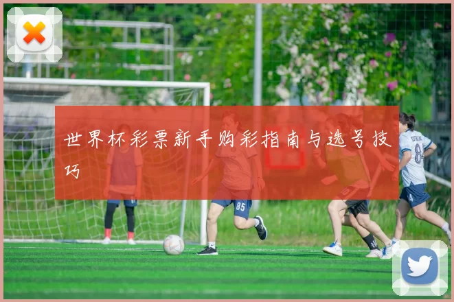 世界杯彩票新手购彩指南与选号技巧